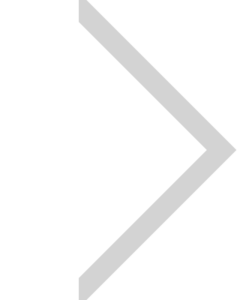 emcs-arrow-icon